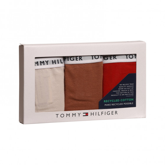 3PACK Moteriškos kelnaitės Tommy Hilfiger multicolour (UW0UW02828 0R2)