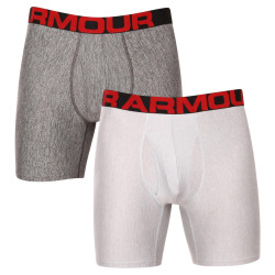 2PACK Vyriški boksininkų šortai Under Armour pilka (1363619 011)