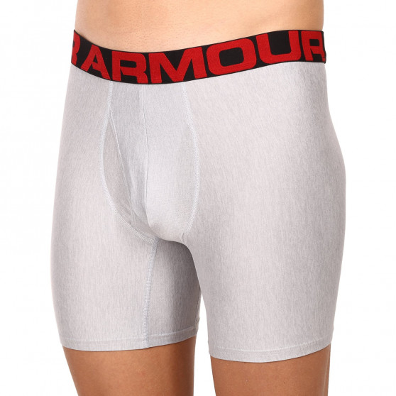 2PACK Vyriški boksininkų šortai Under Armour pilka (1363619 011)