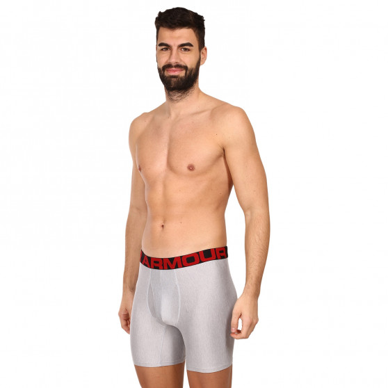 2PACK Vyriški boksininkų šortai Under Armour pilka (1363619 011)