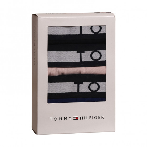 3PACK Vyriški boksininko šortai Tommy Hilfiger daugiaspalviai (UM0UM02202 0TW)