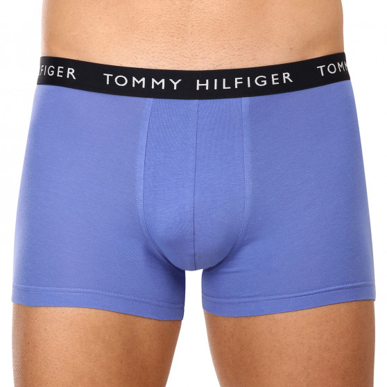 3PACK Vyriški boksininko šortai Tommy Hilfiger daugiaspalviai (UM0UM02203 0V1)