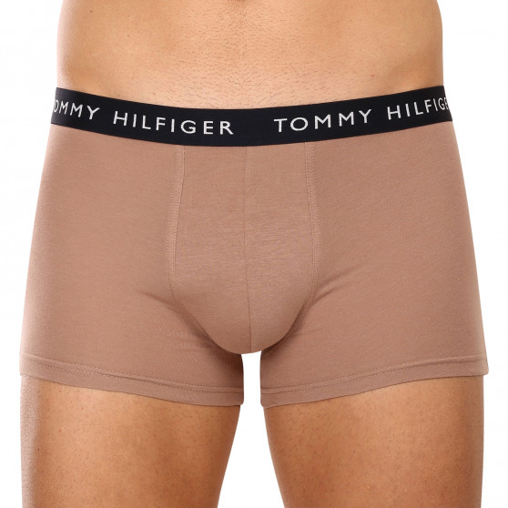 3PACK Vyriški boksininko šortai Tommy Hilfiger daugiaspalviai (UM0UM02203 0V1)