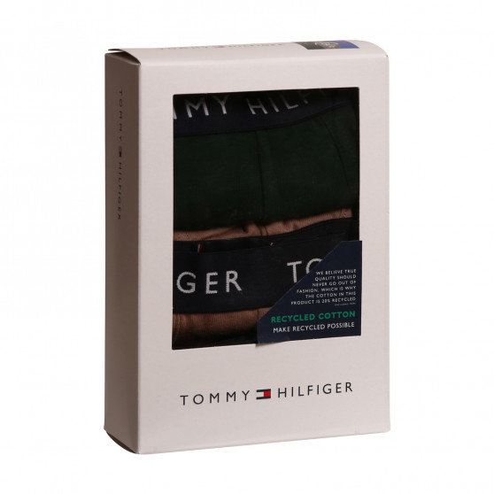 3PACK Vyriški boksininko šortai Tommy Hilfiger daugiaspalviai (UM0UM02203 0V1)