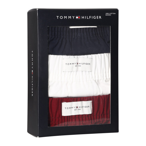 3PACK Vyriški šortai Tommy Hilfiger multicolour (UM0UM02848 0WE)