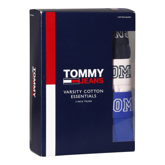 3PACK Vyriški boksininko šortai Tommy Hilfiger daugiaspalviai (UM0UM02850 0T8)