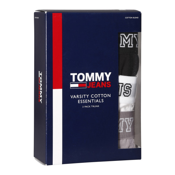 3PACK Vyriški boksininko šortai Tommy Hilfiger daugiaspalviai (UM0UM02850 0T9)