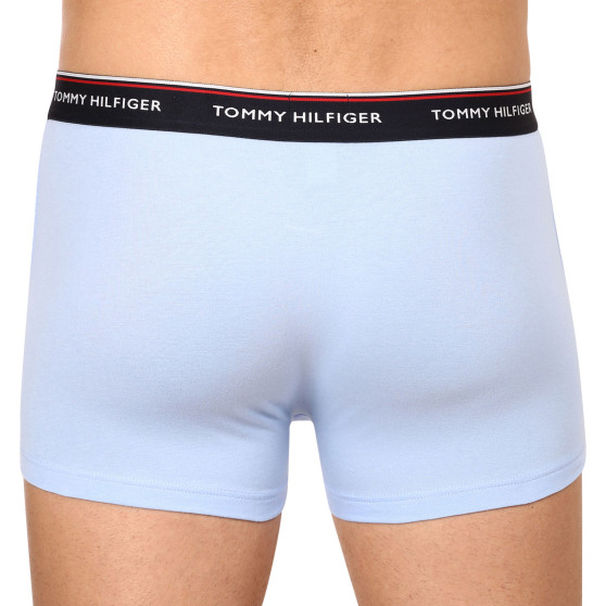 3PACK Vyriški boksininko šortai Tommy Hilfiger daugiaspalviai (1U87903842 0Y4)