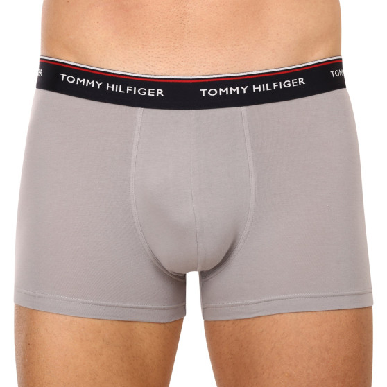 3PACK Vyriški boksininko šortai Tommy Hilfiger daugiaspalviai (1U87903842 0Y4)