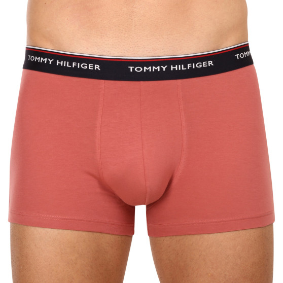 3PACK Vyriški boksininko šortai Tommy Hilfiger daugiaspalviai (1U87903842 0Y4)