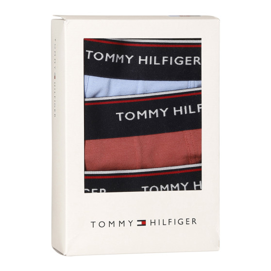 3PACK Vyriški boksininko šortai Tommy Hilfiger daugiaspalviai (1U87903842 0Y4)