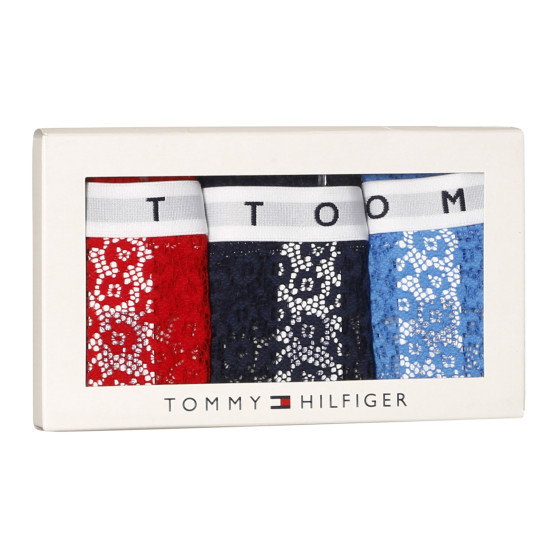 3PACK Moteriškos kelnaitės Tommy Hilfiger multicolour (UW0UW02522 0V7)