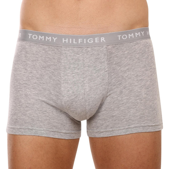 3PACK Vyriški boksininko šortai Tommy Hilfiger daugiaspalviai (UM0UM02203 0XK)