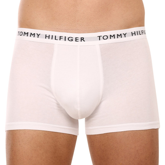 3PACK Vyriški boksininko šortai Tommy Hilfiger daugiaspalviai (UM0UM02203 0XK)