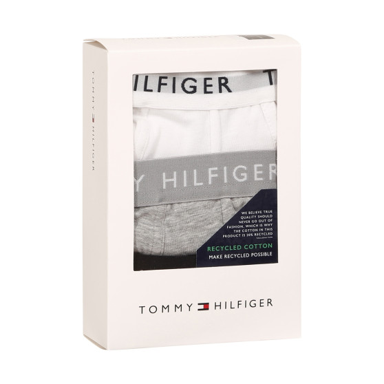 3PACK Vyriški boksininko šortai Tommy Hilfiger daugiaspalviai (UM0UM02203 0XK)