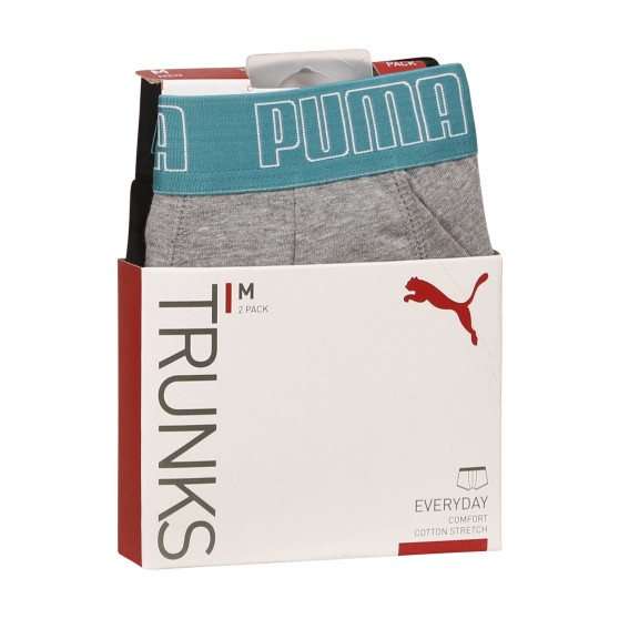 2PACK Vyriški boksininko šortai Puma daugiaspalviai (100000884 047)