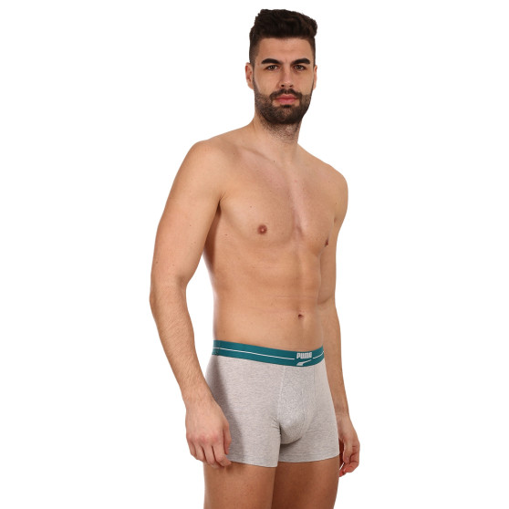 2PACK Vyriški boksininko šortai Puma daugiaspalviai (701221415 004)