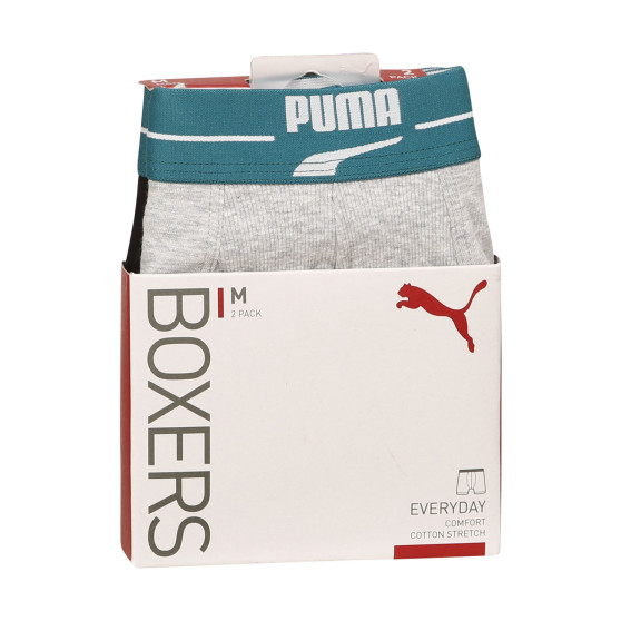 2PACK Vyriški boksininko šortai Puma daugiaspalviai (701221415 004)