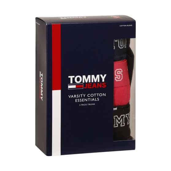 3PACK Vyriški boksininko šortai Tommy Hilfiger daugiaspalviai (UM0UM02850 0T0)