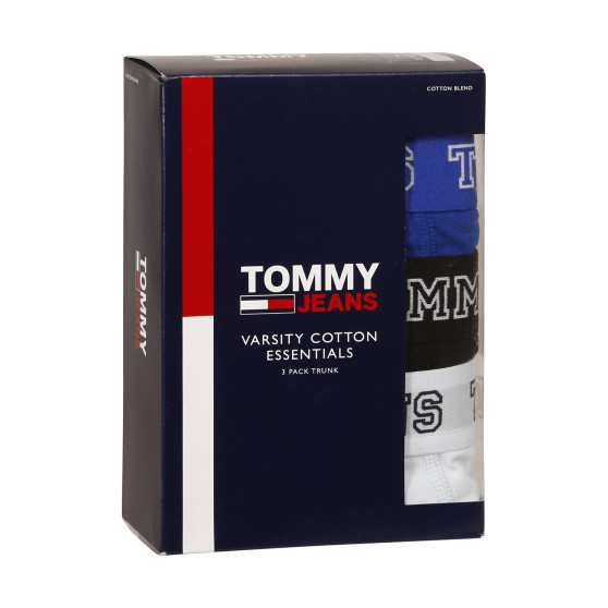 3PACK Vyriški boksininko šortai Tommy Hilfiger daugiaspalviai (UM0UM02850 0TV)