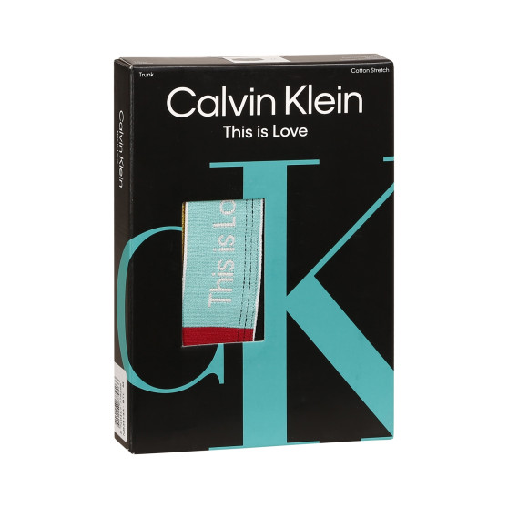 Vyriški boksininko šortai Calvin Klein juodi (NB3414A-BTL)