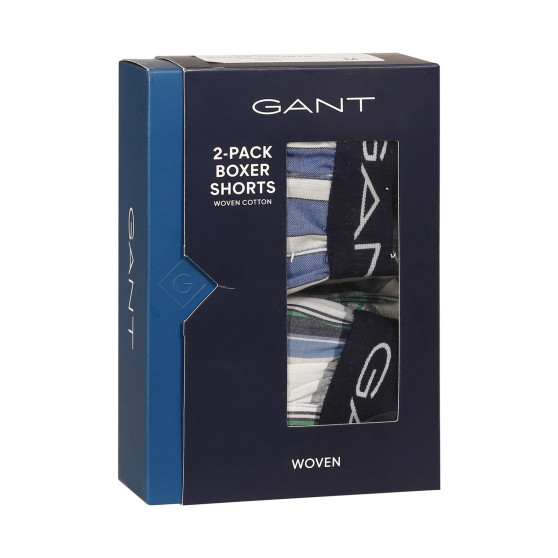 2PACK Vyriški šortai Gant multicolour (902312019-471)