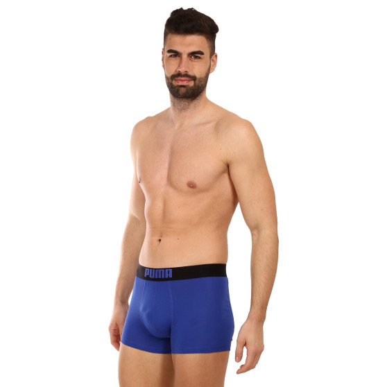 2PACK Vyriški boksininko šortai Puma daugiaspalviai (651003001 031)