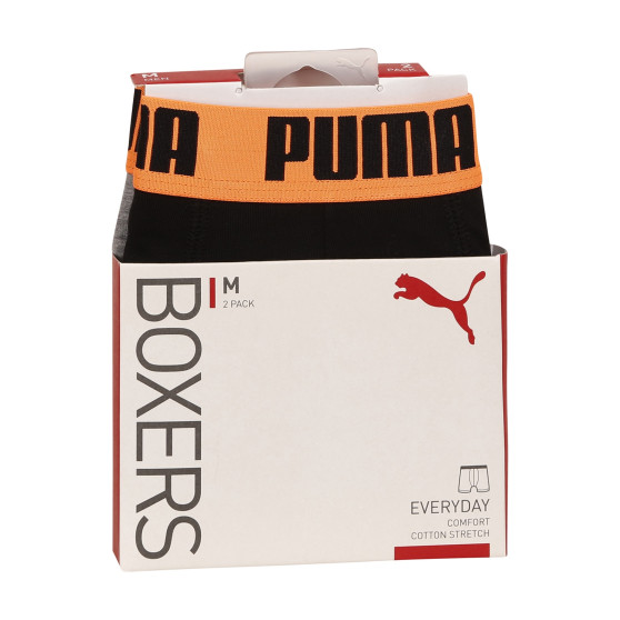 2PACK Vyriški boksininko šortai Puma daugiaspalviai (521015001 050)