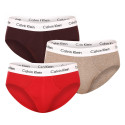 3PACK Vyriškos kelnaitės Calvin Klein multicolour (U2661G-CAK)