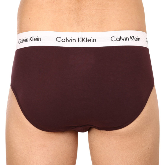 3PACK Vyriškos kelnaitės Calvin Klein multicolour (U2661G-CAK)