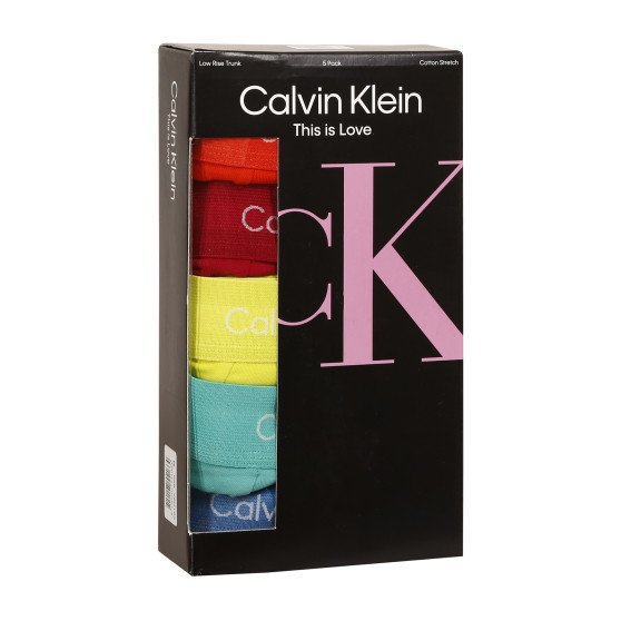 5PACK Vyriški boksininko šortai Calvin Klein daugiaspalviai (NB1348A-BNG)