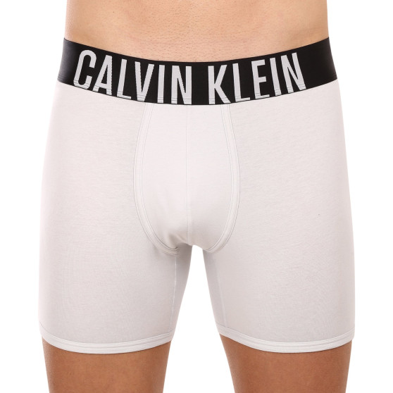 2PACK Vyriški boksininko šortai Calvin Klein daugiaspalviai (NB2603A-C2D)