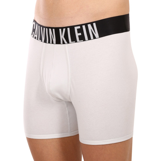 2PACK Vyriški boksininko šortai Calvin Klein daugiaspalviai (NB2603A-C2D)