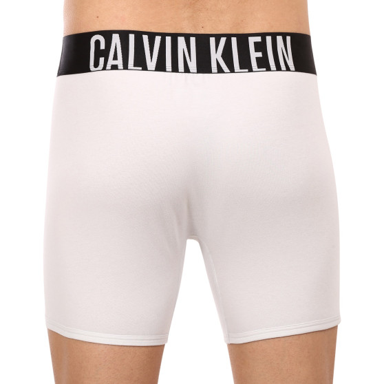 2PACK Vyriški boksininko šortai Calvin Klein daugiaspalviai (NB2603A-C2D)