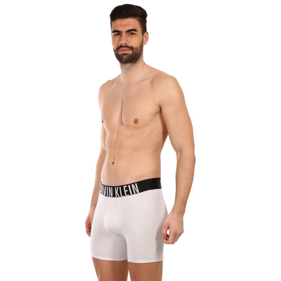 2PACK Vyriški boksininko šortai Calvin Klein daugiaspalviai (NB2603A-C2D)