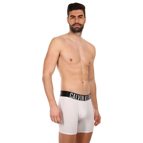 2PACK Vyriški boksininko šortai Calvin Klein daugiaspalviai (NB2603A-C2D)