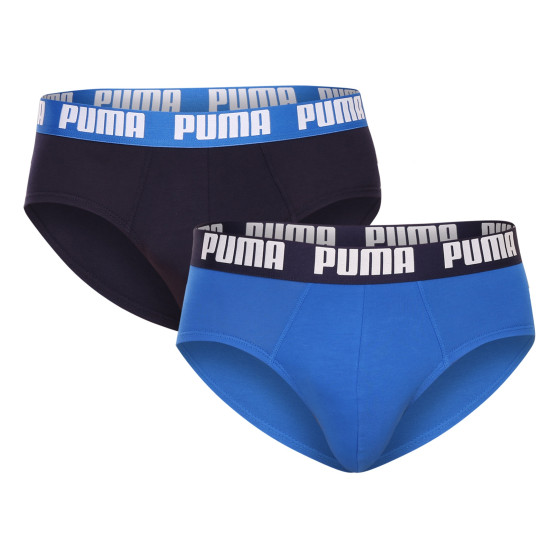 2PACK Vyriškos kelnaitės Puma multicolour (521030001 420)