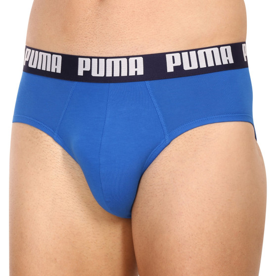 2PACK Vyriškos kelnaitės Puma multicolour (521030001 420)