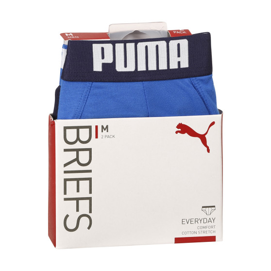 2PACK Vyriškos kelnaitės Puma multicolour (521030001 420)