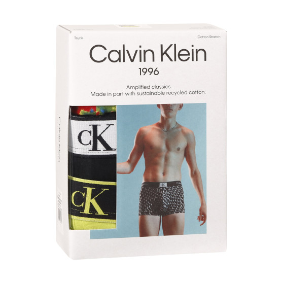 3PACK Vyriški boksininko šortai Calvin Klein daugiaspalviai (NB3528A-DY0)