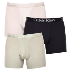 3PACK Vyriški boksininko šortai Calvin Klein daugiaspalviai (NB2971A-CBC)