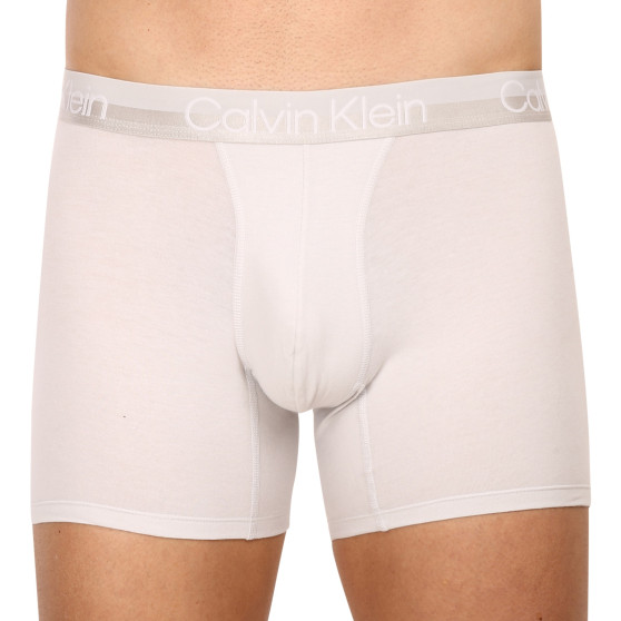 3PACK Vyriški boksininko šortai Calvin Klein daugiaspalviai (NB2971A-CBC)