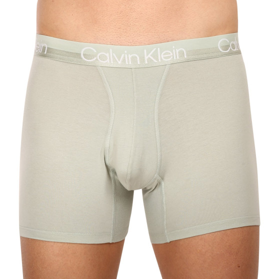 3PACK Vyriški boksininko šortai Calvin Klein daugiaspalviai (NB2971A-CBC)