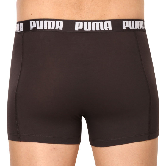 3PACK Vyriški boksininko šortai Puma daugiaspalviai (701206546 004)