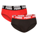 2PACK Vyriškos kelnaitės Puma multicolour (521030001 005)