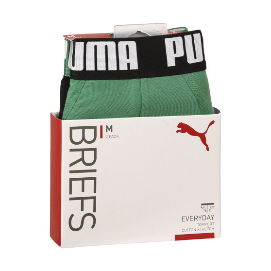 2PACK Vyriškos kelnaitės Puma multicolour (521030001 327)