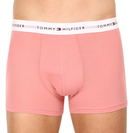 3PACK Vyriški boksininko šortai Tommy Hilfiger daugiaspalviai (UM0UM02761 0R4)