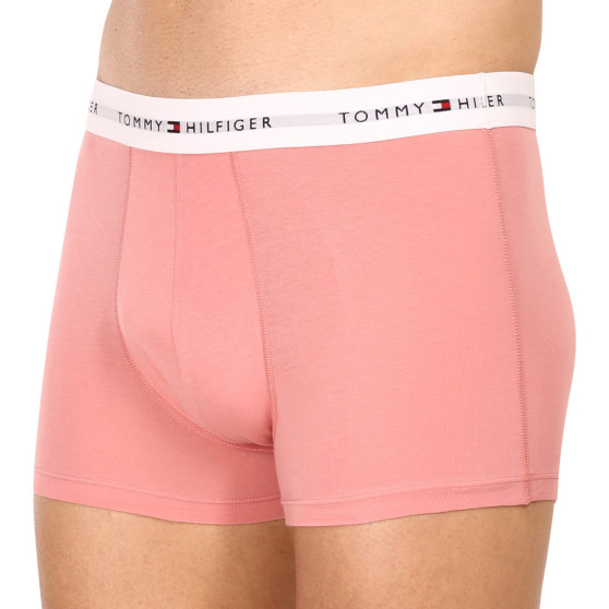 3PACK Vyriški boksininko šortai Tommy Hilfiger daugiaspalviai (UM0UM02761 0R4)