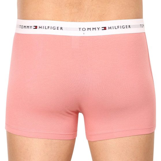 3PACK Vyriški boksininko šortai Tommy Hilfiger daugiaspalviai (UM0UM02761 0R4)