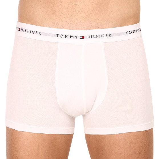 3PACK Vyriški boksininko šortai Tommy Hilfiger daugiaspalviai (UM0UM02761 0R4)